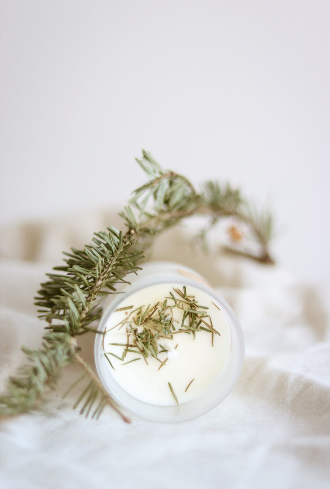 Evergreen candle